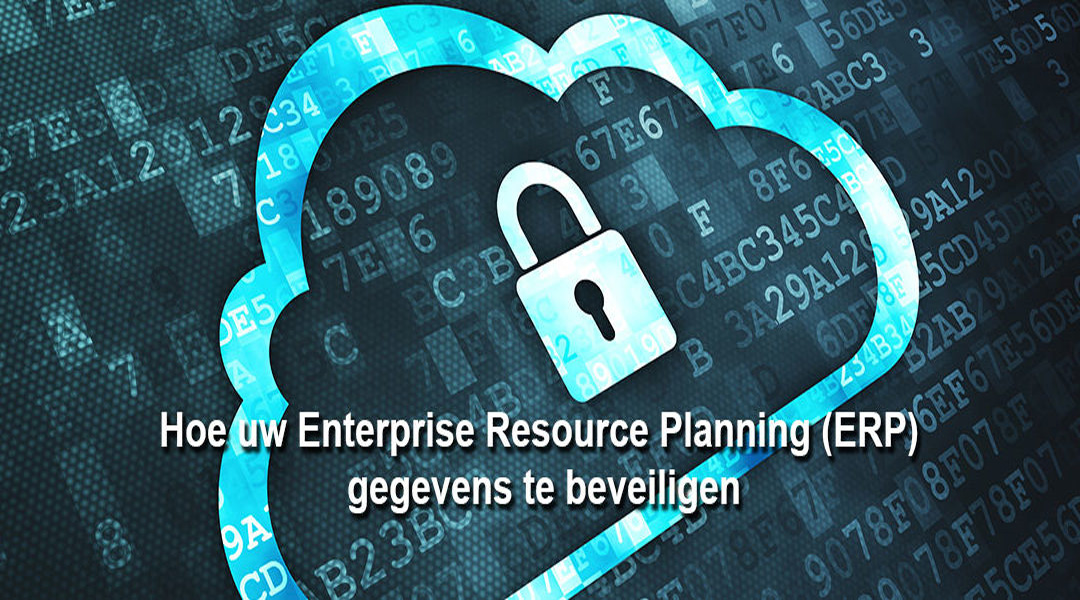 Enterprise Resource Planning (ERP) gegevens beveiligen