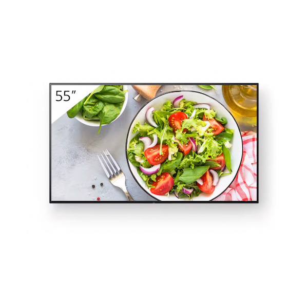 Sony Bravia Professional Displays FW-55BZ35L